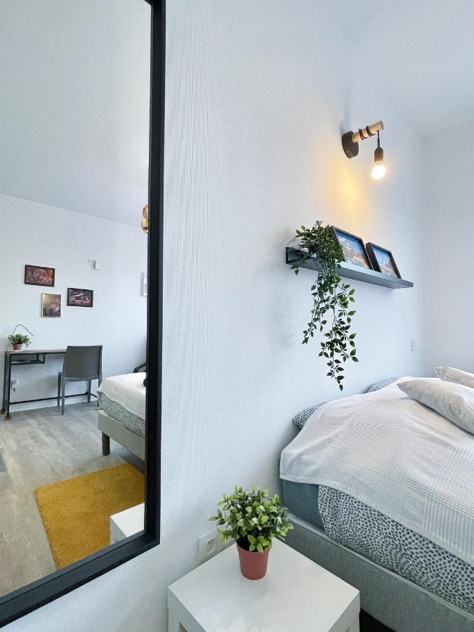LE PARADIS FISCAL, 5min Bâle, parking privé Saint-Louis (Haut-Rhin) Exterior foto